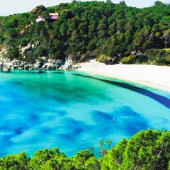 Elba Beach