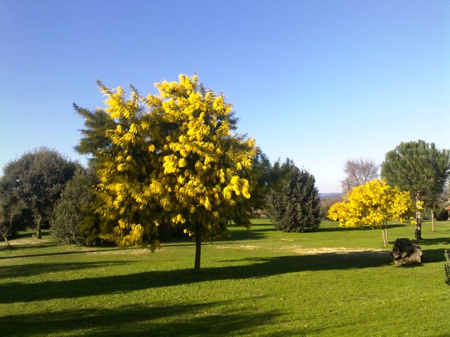 Agriturismo Il Pino