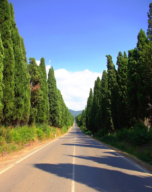 Viale dei Cipressi, Bolgheri