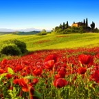 toscana-3